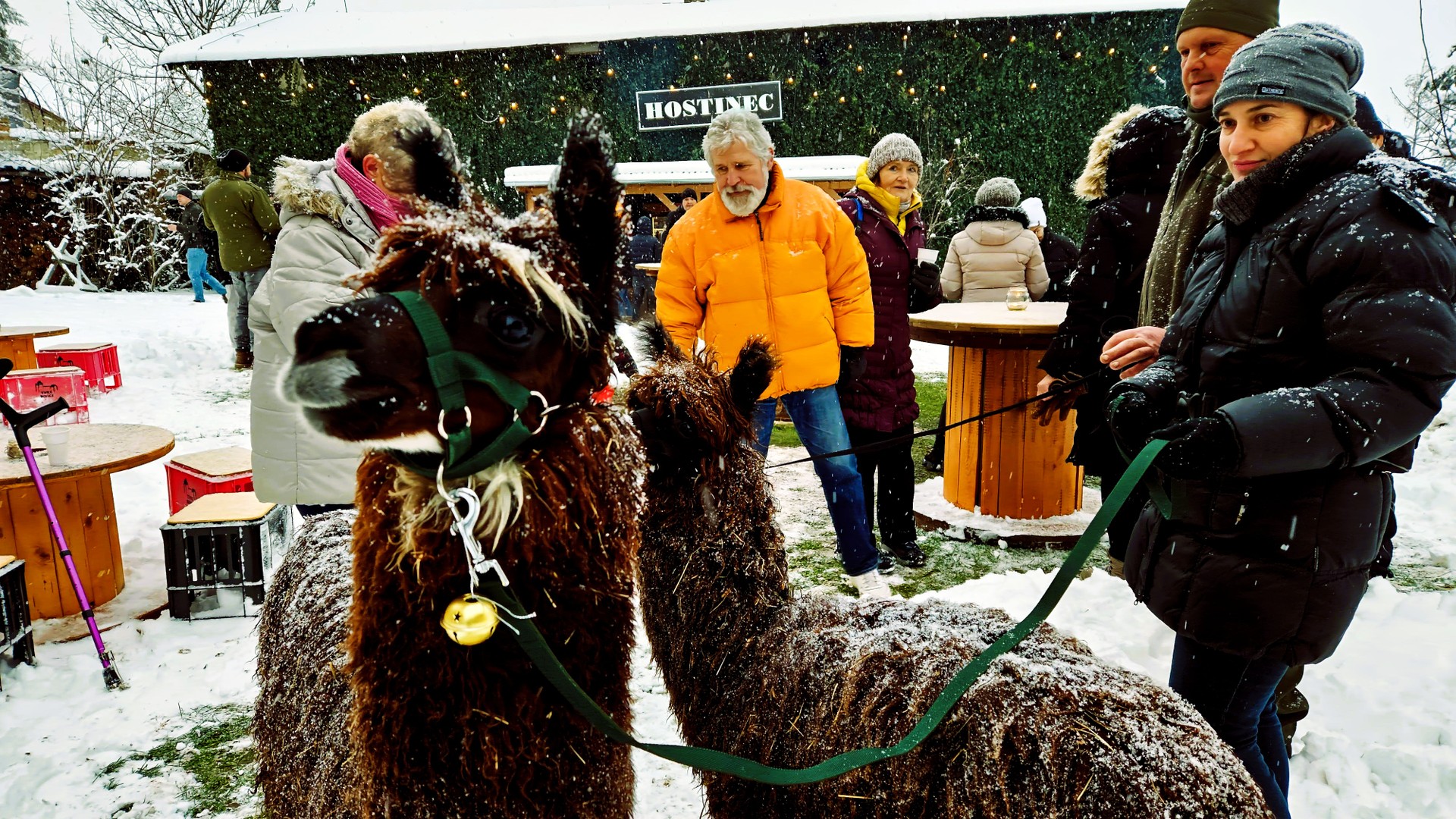 20231202_155048 color.JPG